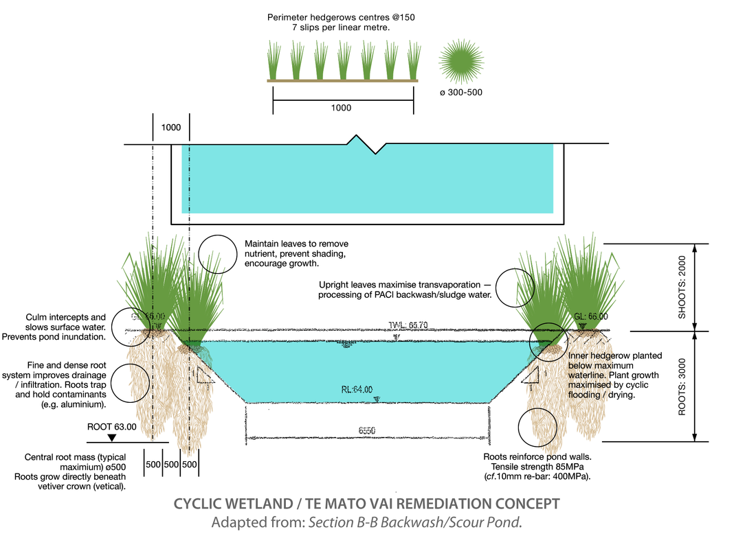210520-vetiver-pond-section
