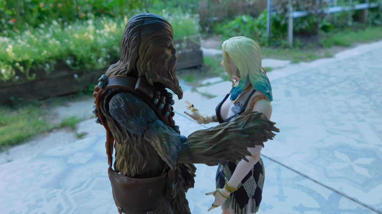 Дачно-барбейское июль, Харлинское 2-я серия 206