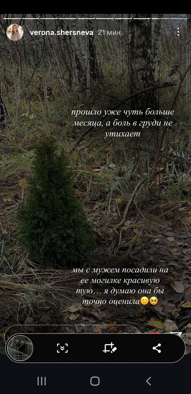 Screenshot 20251101 124753 Instagram