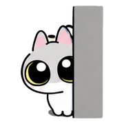 01 peek