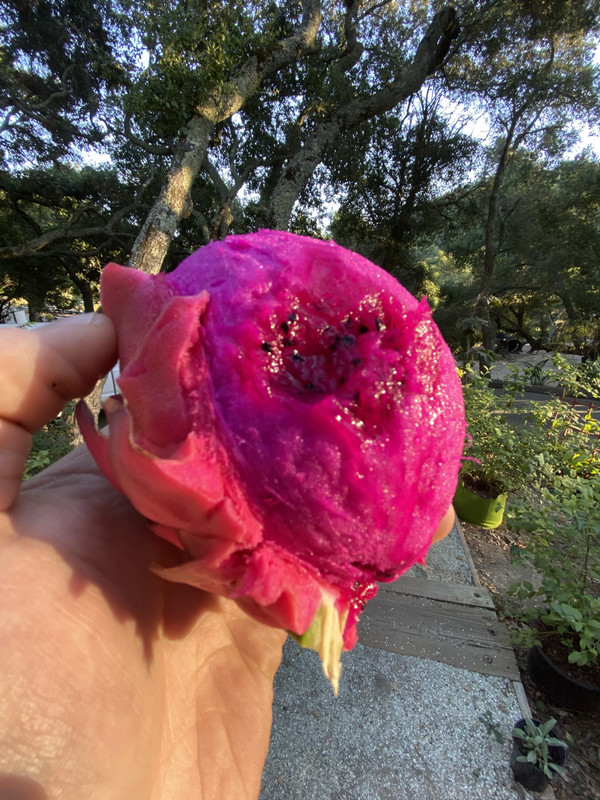 1792A338-120B-4B11-881A-3987172FD084