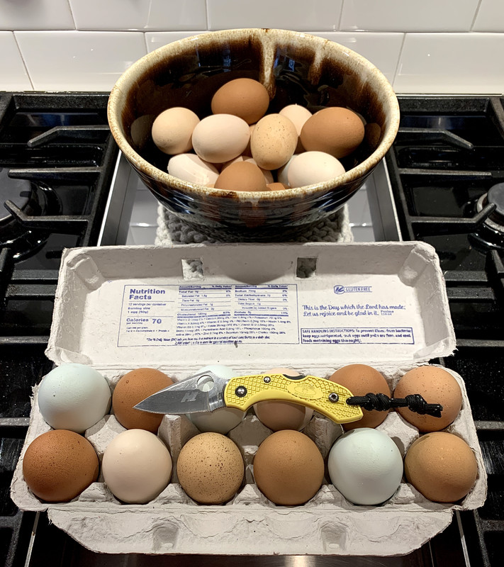 6A86A906-249E-4C16-8E8E-B6433420179A