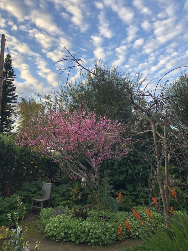 9361146C-45DC-4138-84A4-790BEA7B85BB