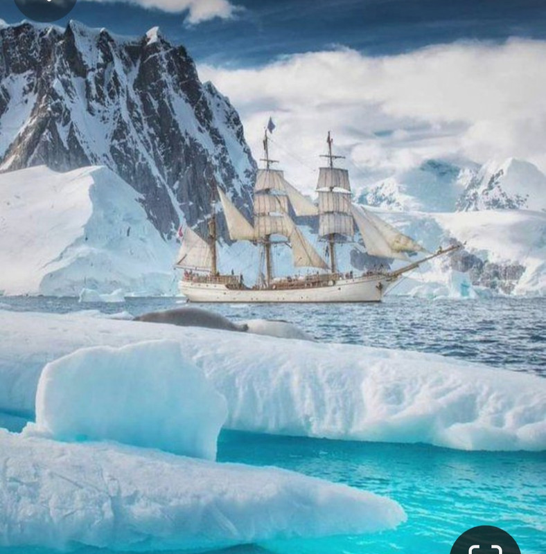 Screenshot_20240116_215031_Pinterest