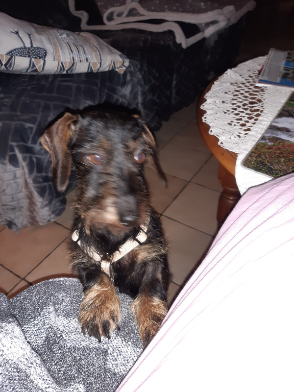 [Image: 20221204-195354.jpg]