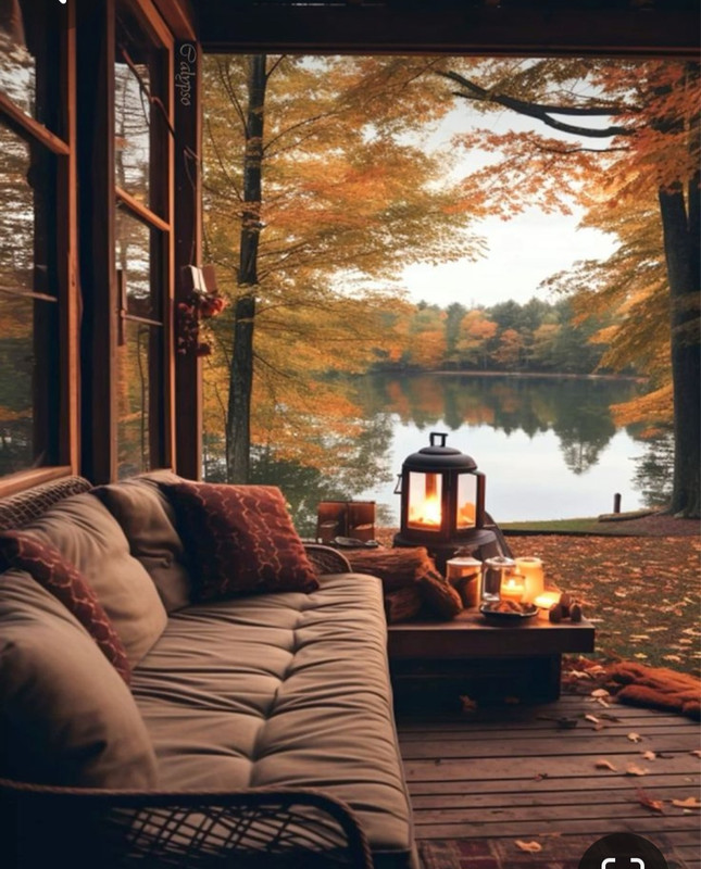 Screenshot_20231217_213356_Pinterest