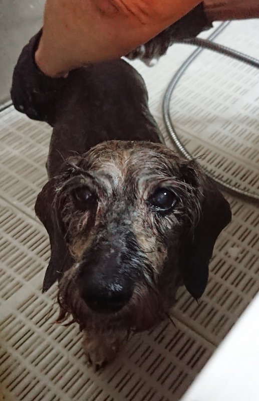 [Image: 20240326-203928.jpg]