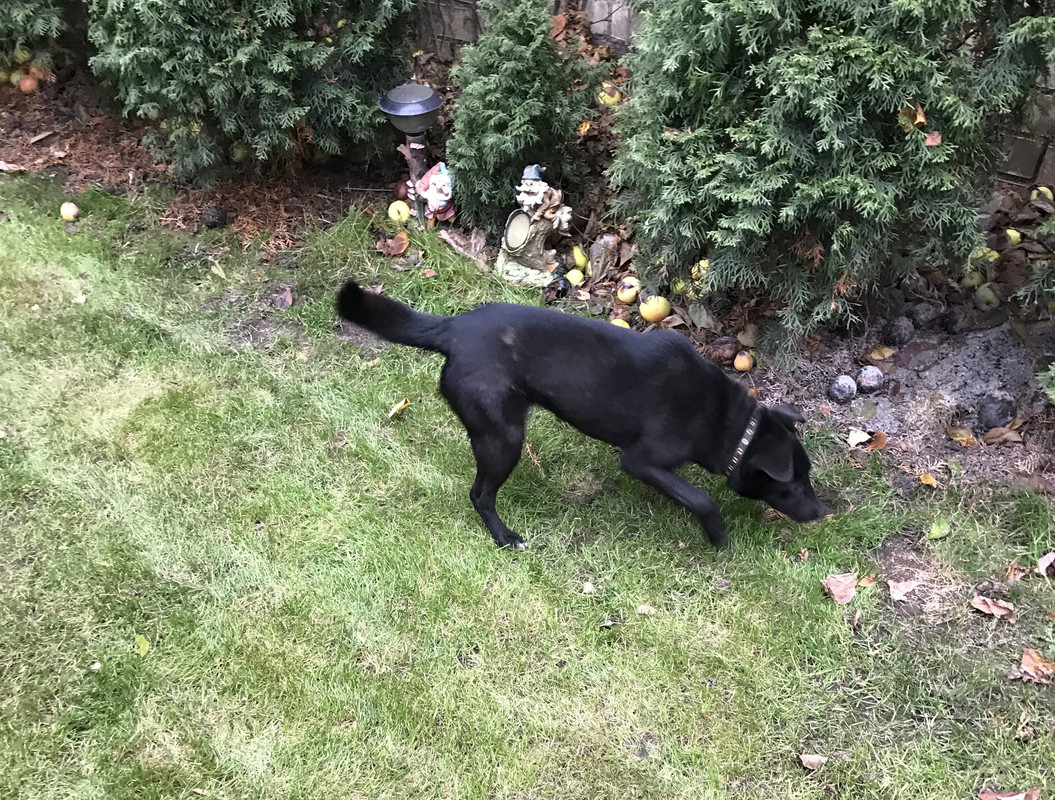 1AF9676A-099A-414E-84B0-02C6E7FFB2EF