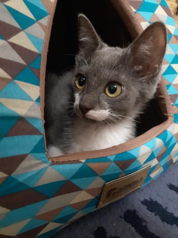 D140D03C-974C-41CF-891E-3E77232E8750