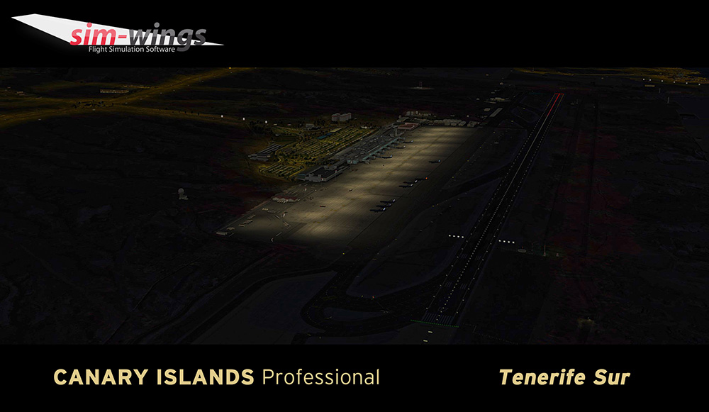 canary-islands-prof-tenerife (17)