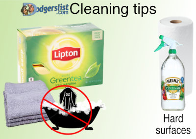 https://i.postimg.cc/y8G6xh47/Cleaning-TIPS.jpg