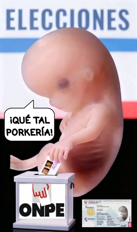 porkyfeto.jpg