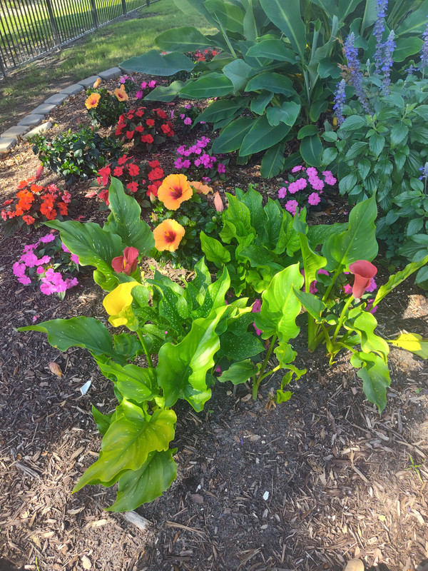 IMG_20250609_090644738_HDR