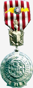 Servi-os-distintos-prata-350