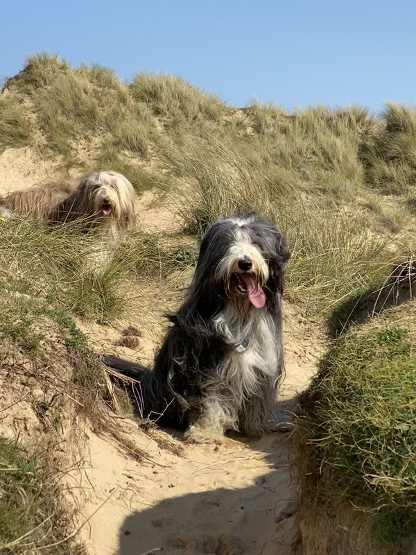 E4312343-887B-4F2C-B058-A0EEE3AD7A09