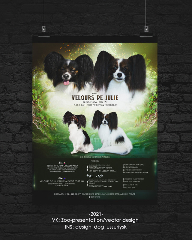 презент.пальоны2