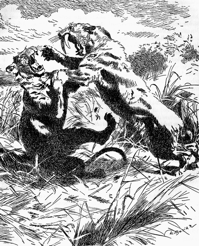 3f065cea0d2cbd3420b1c05ad5151dfb