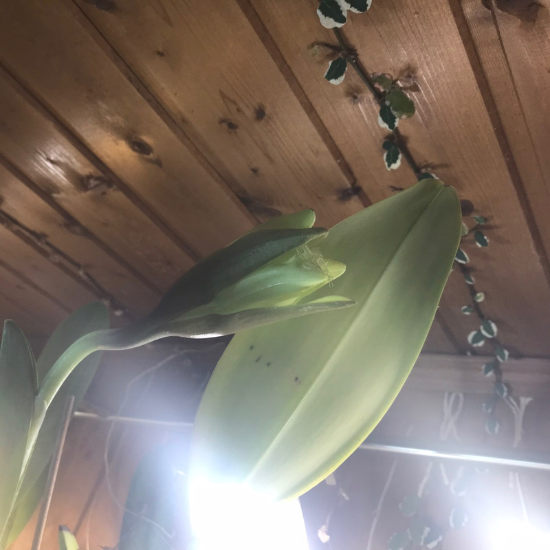 C1B2063F-4A30-400F-BC3D-0731E6D974C0