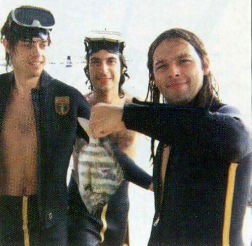 Allan Parsons & David Gilmour