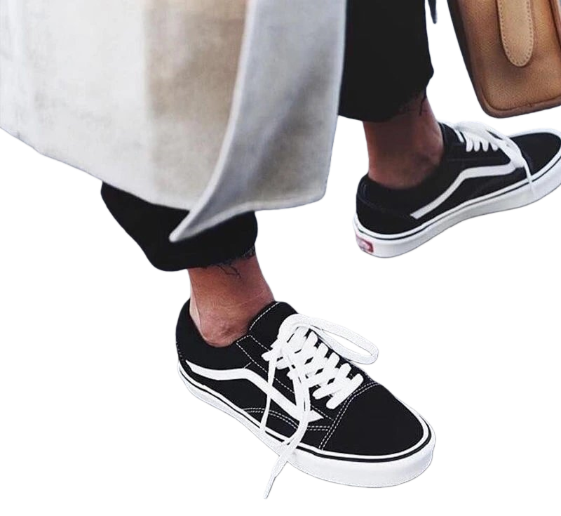 Vans Skate Shoes