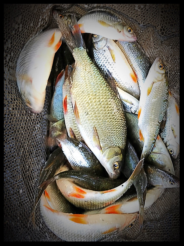 705A8878-691C-41F1-8BE4-086199081507