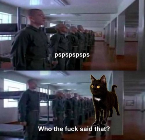 c-c.jpg