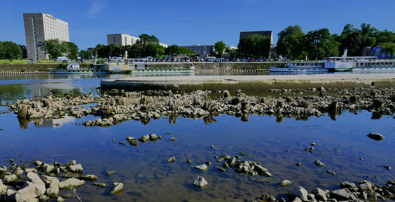 P1360544.jpg