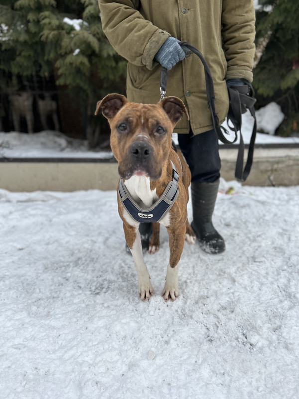 ADEC3FD7-76DF-4C72-AE2E-632E0B79A4E7