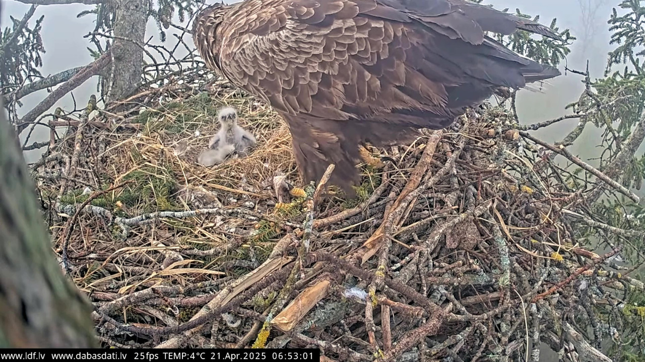 vlcsnap-2025-04-21-07h36m53s433