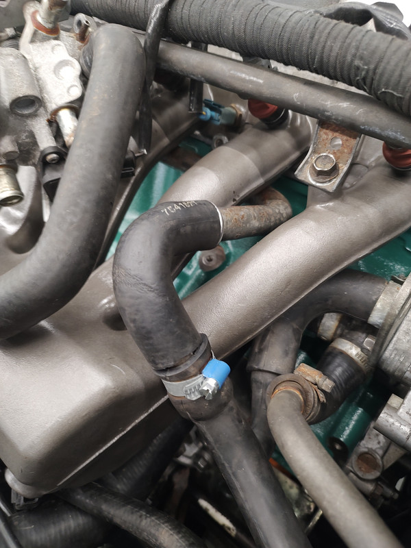 IMG_20250114_162232658