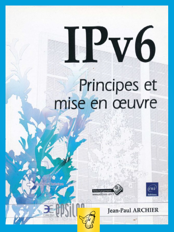 eni-ip-v6-principes-et-mise-en-oeuvre.jpg