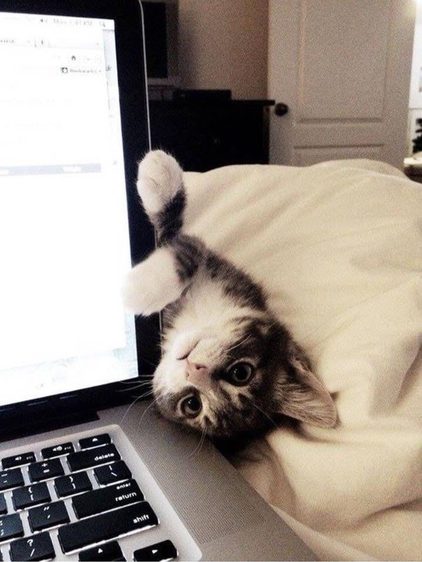 52FC337F-6114-43EE-8B8B-C68C36BEA077