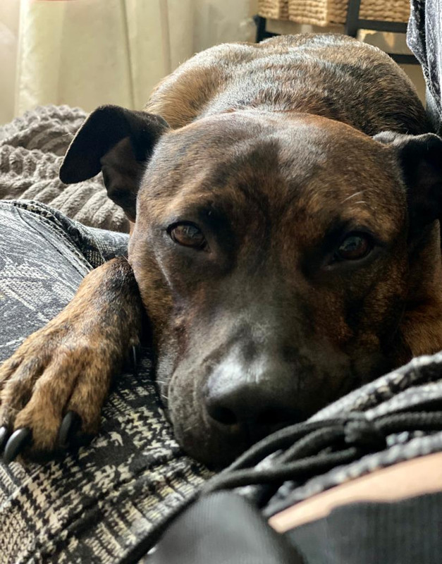 C03DA2E1-F06C-4917-A2F7-9FC98DE1D61D