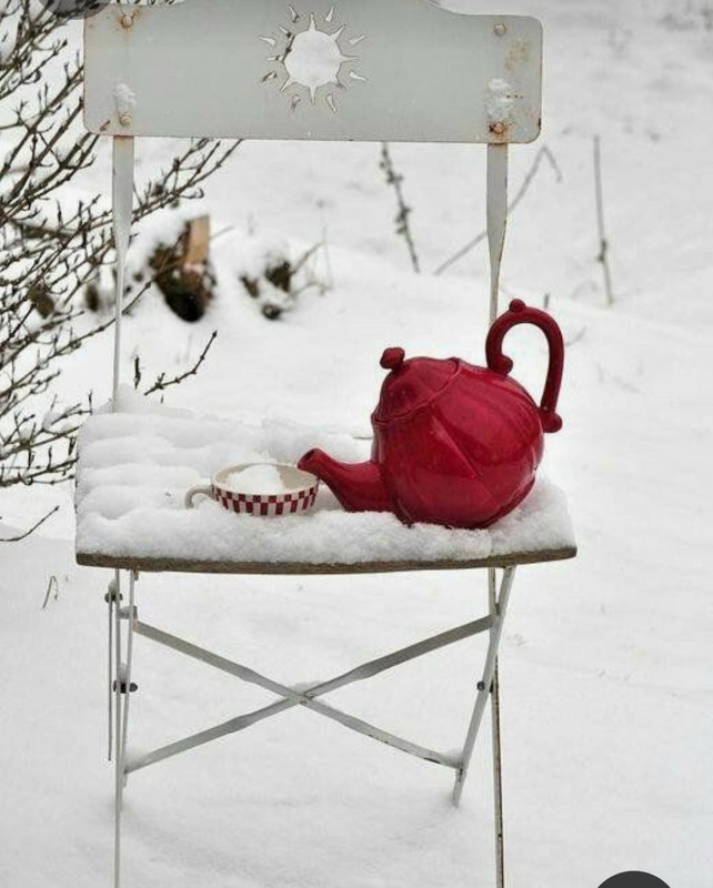 Screenshot_20230403_234134_Pinterest