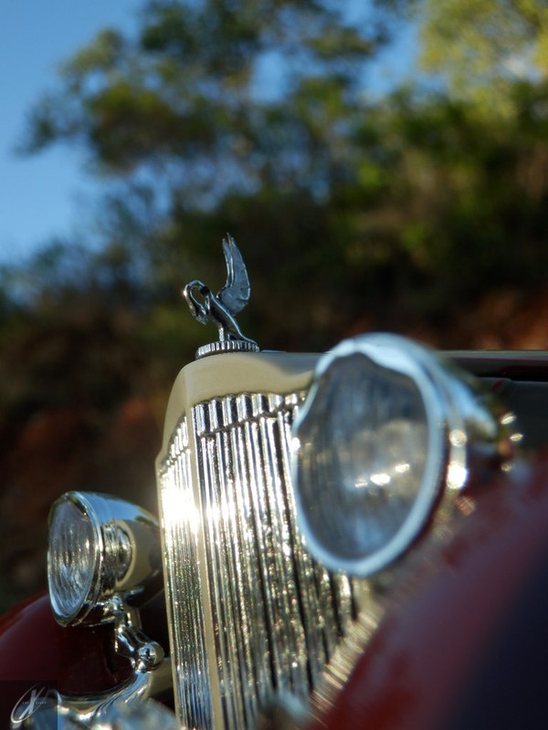 Packard Twelve Model 1107 Dietrich Convertible Victoria (38)
