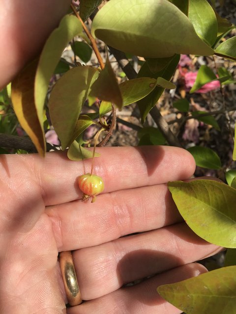 C4769728-B1DC-4FE5-BF45-EA0490B547C2