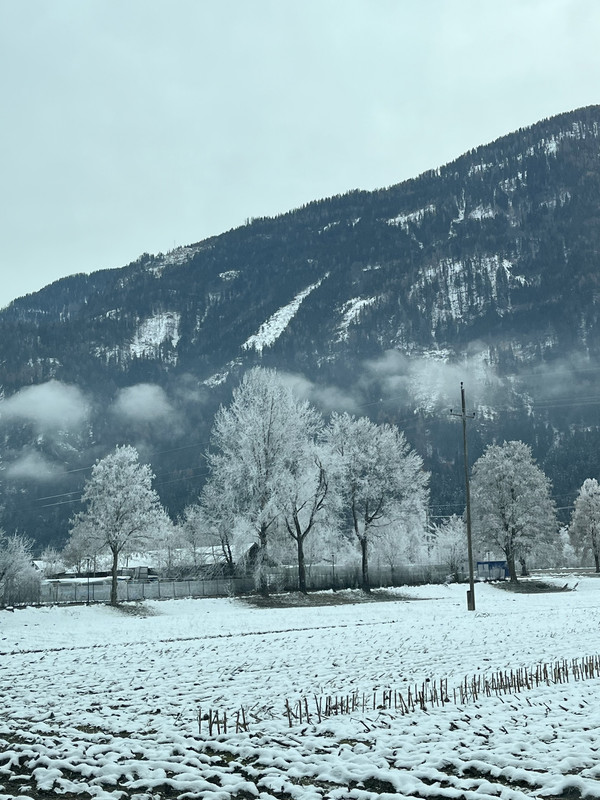 F7E437D7-C695-4461-BAB9-037F099BB791