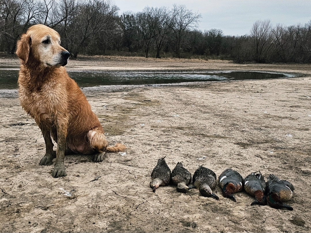 Screenshot 20260123 110143 Gallery