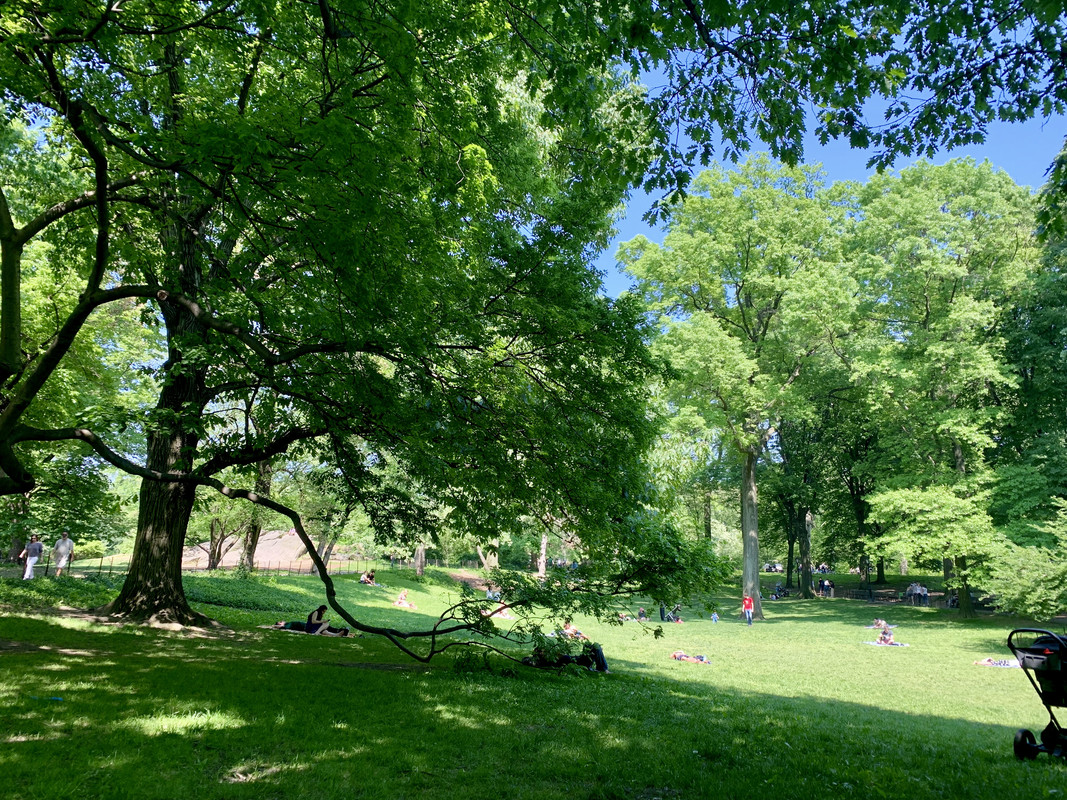 71988C78-183B-4221-8C5A-3DBEADC5633F