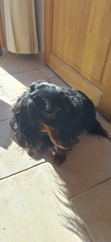 [Image: 20250127-121506.jpg]