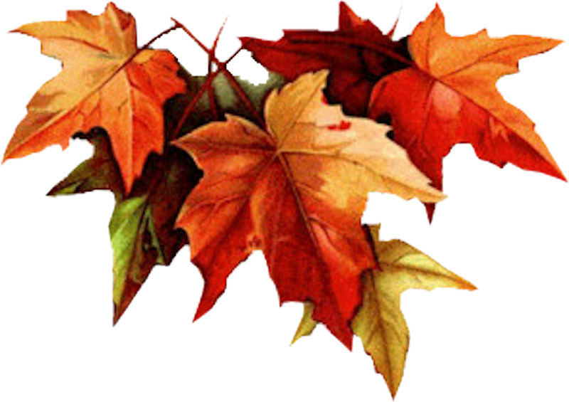 IPD_AH_Element (137)