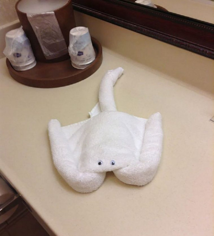 18 случаев, когда владельцы отелей удивили креативностью