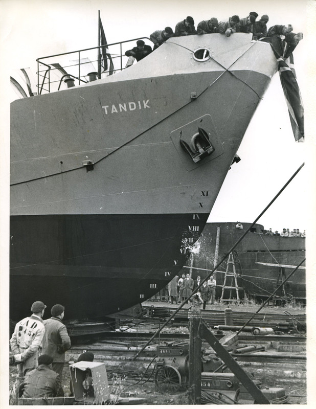 Tandik(AV)