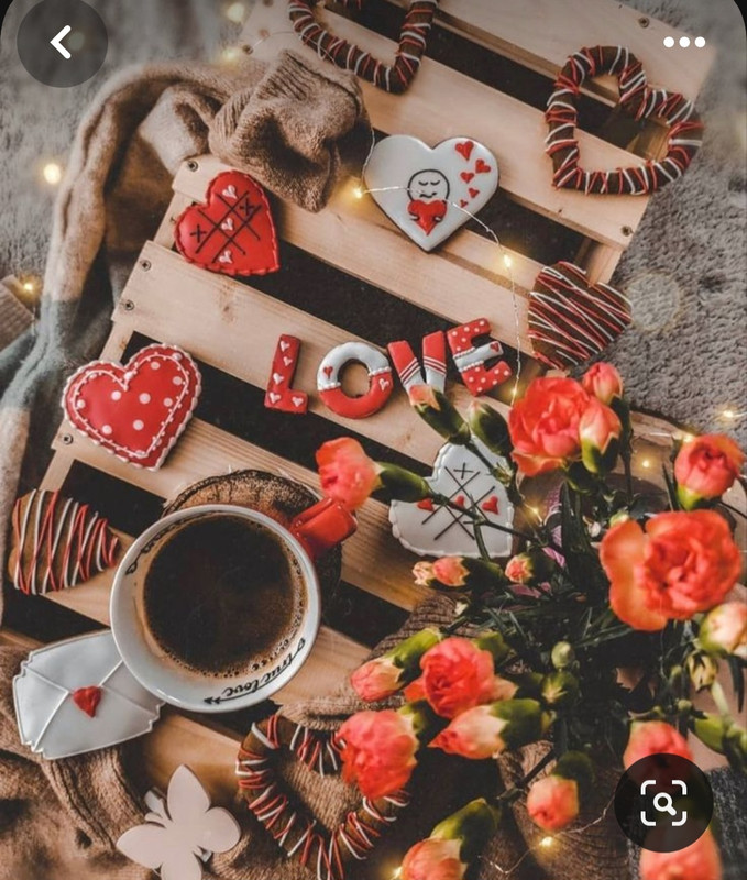 Screenshot_20231121_223610_Pinterest