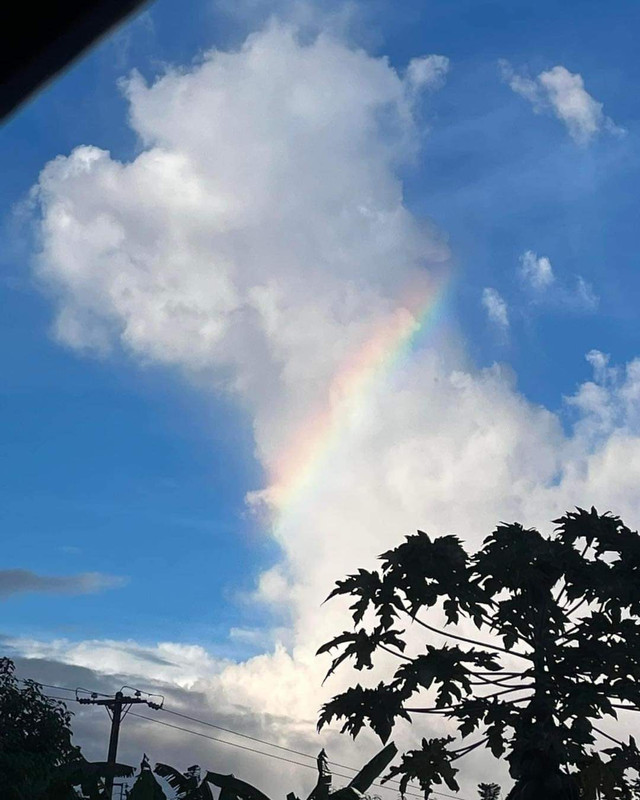 [Image: FB-IMG-1690568058259.jpg]