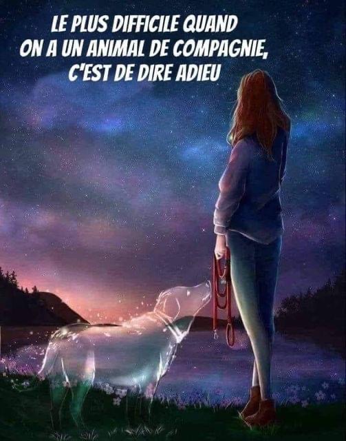 [Image: IMG-7901.jpg]