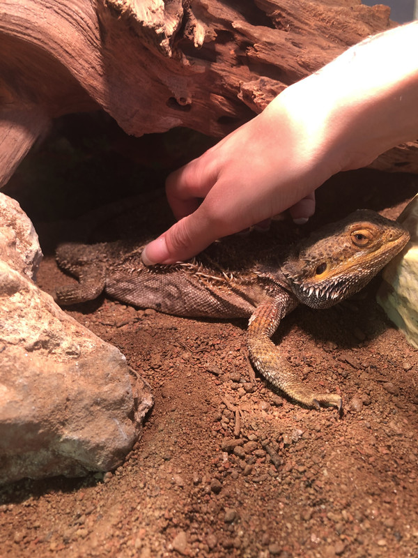 B06E7748-F8AF-4640-92E1-3179DED8F9D0