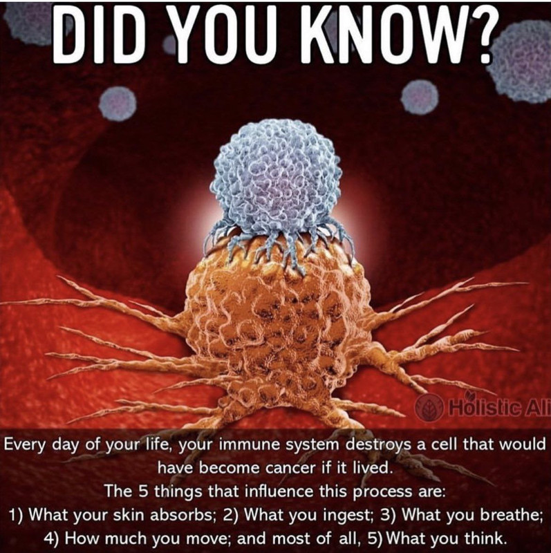 immune-system