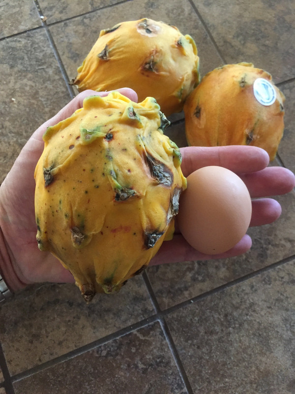 9C16C9AA-BADA-4156-9F91-A65AD6820030