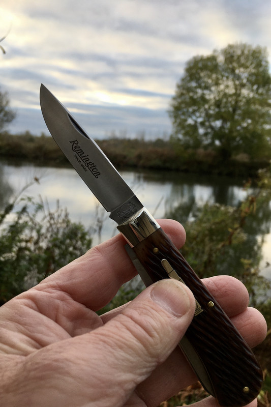 20877DA7-CA10-4893-8E5E-66B3B4D312F6